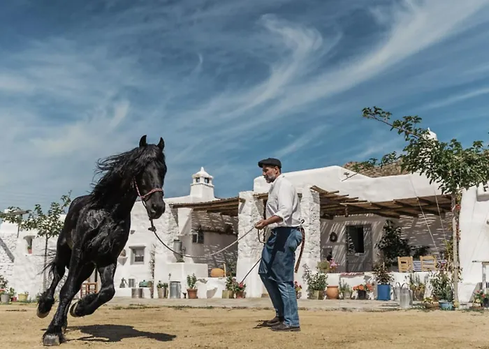 Rizes Mykonos - Folklore Farmstead ファームステイ *